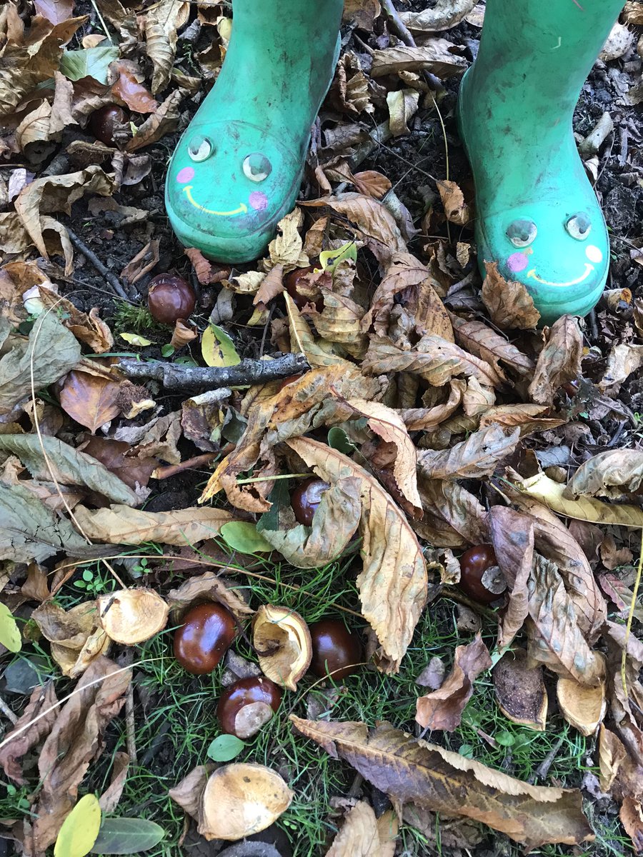 Forest School ACE tweet media