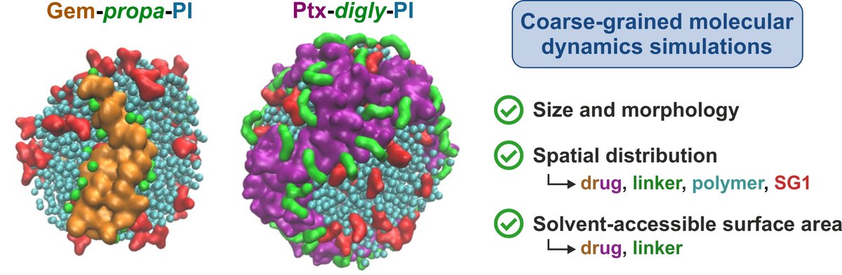Julien Nicolas (@julnicolas) on Twitter photo Check out our new article on the supramolecular organization of polymer prodrug NPs revealed by coarse-grained simulations, in collab. w/ Tâp Ha-Duong (<a href="/biocis/">BioCIS</a>), just published in <a href="/J_A_C_S/">J. Am. Chem. Soc.</a> pubs.acs.org/doi/10.1021/ja…
Congrats to our PhD student Ping Gao who did a truly amazing job! Check out our new article on the supramolecular organization of polymer prodrug NPs revealed by coarse-grained simulations, in collab. w/ Tâp Ha-Duong (<a href="/biocis/">BioCIS</a>), just published in <a href="/J_A_C_S/">J. Am. Chem. Soc.</a> pubs.acs.org/doi/10.1021/ja…
Congrats to our PhD student Ping Gao who did a truly amazing job!