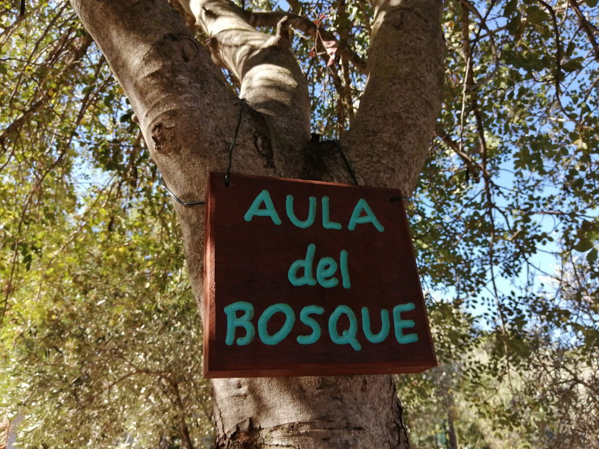 LauraLPons's tweet photo. Estrenando nuestra aula del bosque! Disfrutando del espacio natural del cole! @EcoescuelasAND  #CEIPjuanXXIII https://t.co/XtZ7gQ7uOY