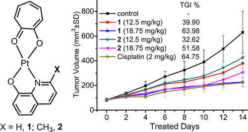 bhkenlo's tweet photo. Antitumor Activities for Two Pt(II) Complexes of Tropolone and 8-Hydroxyquinoline Derivative https://t.co/PpppphoGSo Chen, Liu, Liang, and co-workers @InorgChem #platinum @tropolone #hydroxyquinoline #antitumor #apoptosis #mitrochondria #ROS #Ca #cisplatin https://t.co/z4srGvBeVd