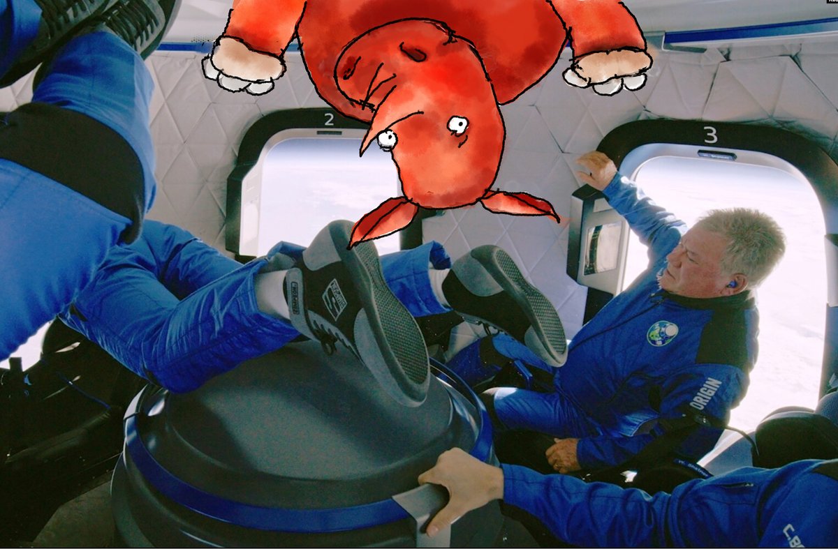 With all the media attention laser-focused on 90-year old Bill Shatner's trip into space, no one reported on Red Rhino's photo-bomb of the event. The rhinoceros was unavailable for comment. #redrhinocerosbook #childrensbookillustration #eastwestliterary #kidlit #kidhumor