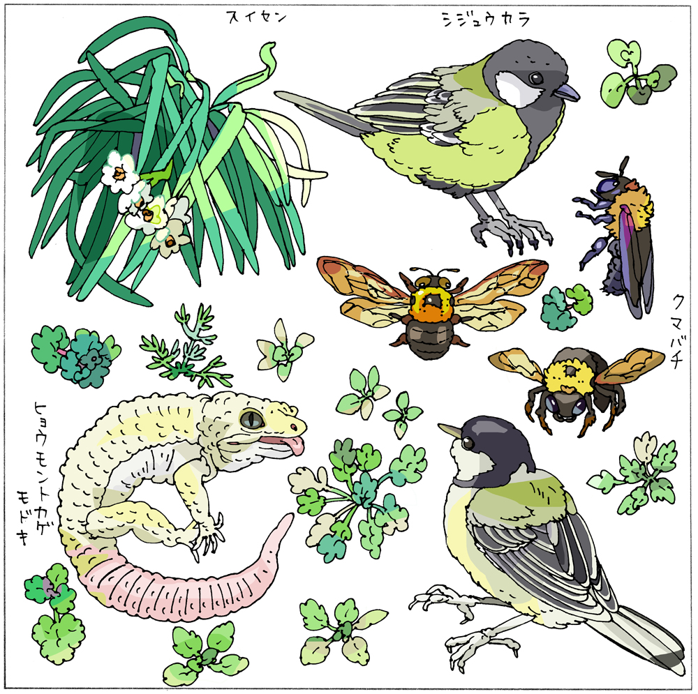 シャワンいきもの図鑑🌸
うさぎ、ヒョウモントカゲモドキ、シジュウカラ
などなど…🐛🐤 