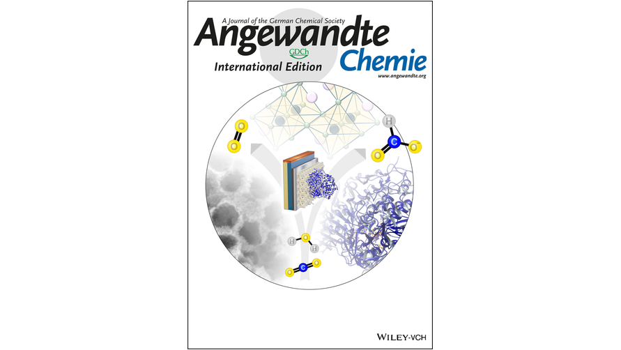 #OnTheCover A Semi-artificial Photoelectrochemical Tandem Leaf with a CO2-to-Formate Efficiency Approaching 1 % (Reisner) onlinelibrary.wiley.com/doi/10.1002/an… <a href="/ReisnerLab/">Reisner Lab</a> <a href="/esther_e_moore/">Esther Edwardes Moore</a>