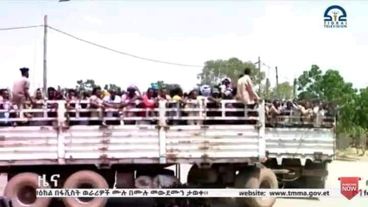 Mekonin9's tweet photo. በእርዳታ  የገባ  መኪና  የተቀቀሌ  ስንዴ  እያመላለሰ  ነው https://t.co/2mJTn5HNec
