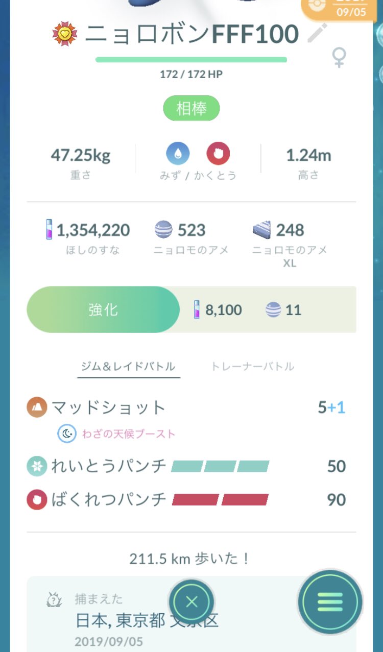 たれ ポケモンgo ニョロボン 個体値100 とニョロトノ 個体値 100 で通算326 5キロ歩いて Hl9位のニョロトノが後xl飴40個で漸く完成 既にウェザボがナーフされましたが 今更立ち止まる訳にはいかんとです なお 肝心の ニョロモは未だ やつあたり を