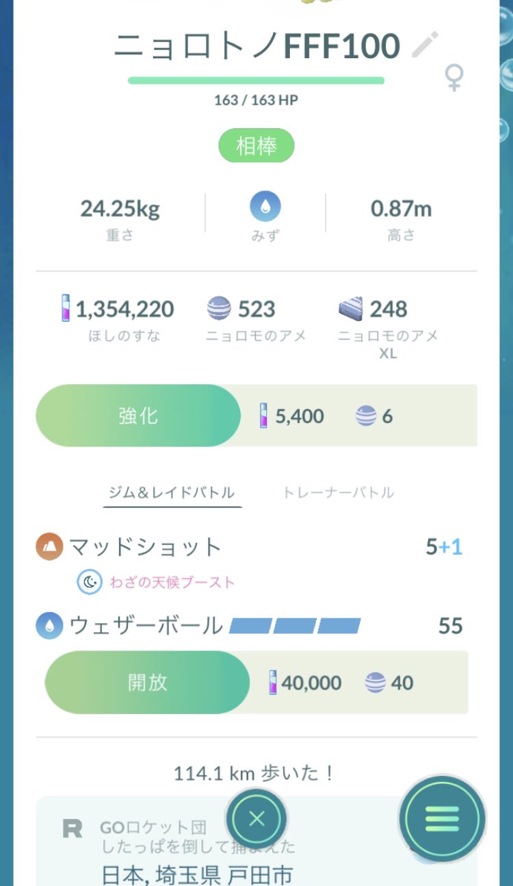 たれ ポケモンgo ニョロボン 個体値100 とニョロトノ 個体値 100 で通算326 5キロ歩いて Hl9位のニョロトノが後xl飴40個で漸く完成 既にウェザボがナーフされましたが 今更立ち止まる訳にはいかんとです なお 肝心の ニョロモは未だ やつあたり を