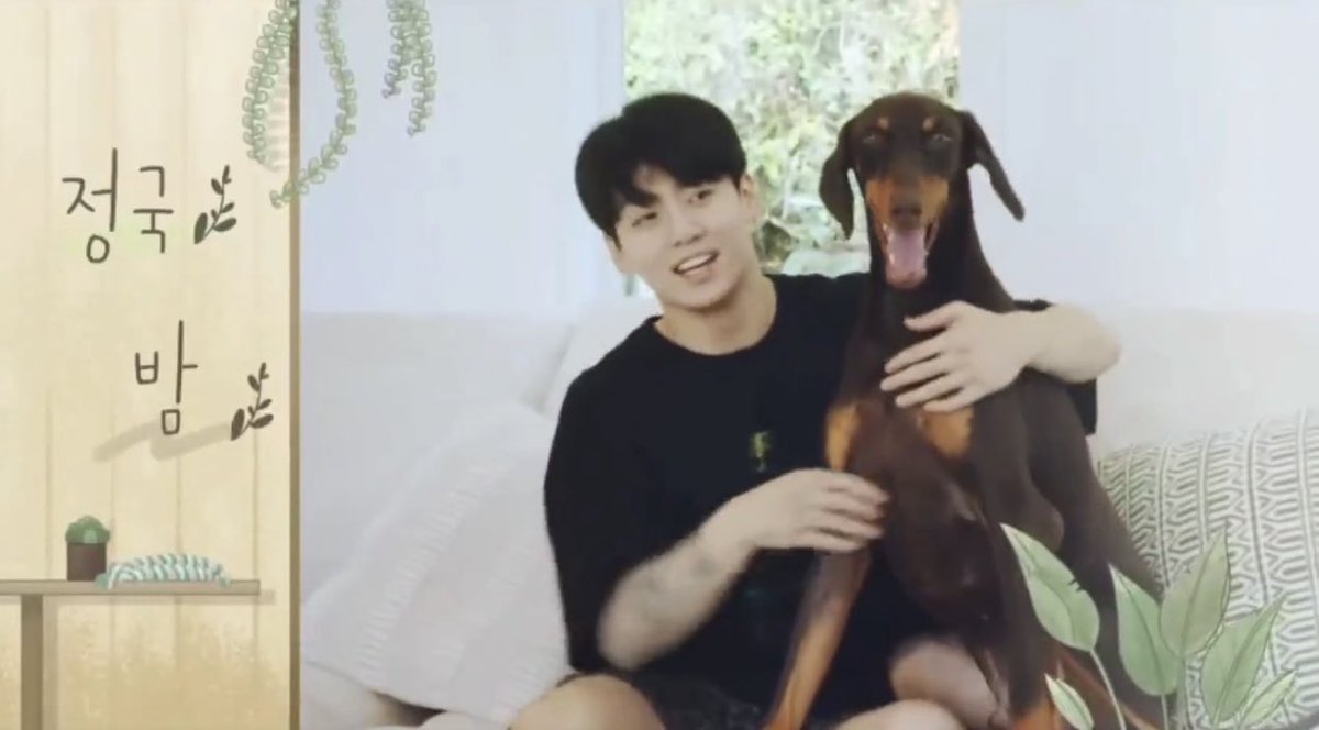 Jungkook with his dog in the opening sequence of ‘In The Soop’. The dog is a Doberman and is named ‘Bahm’(밤). Yes, it’s Jungkook’s own dog
