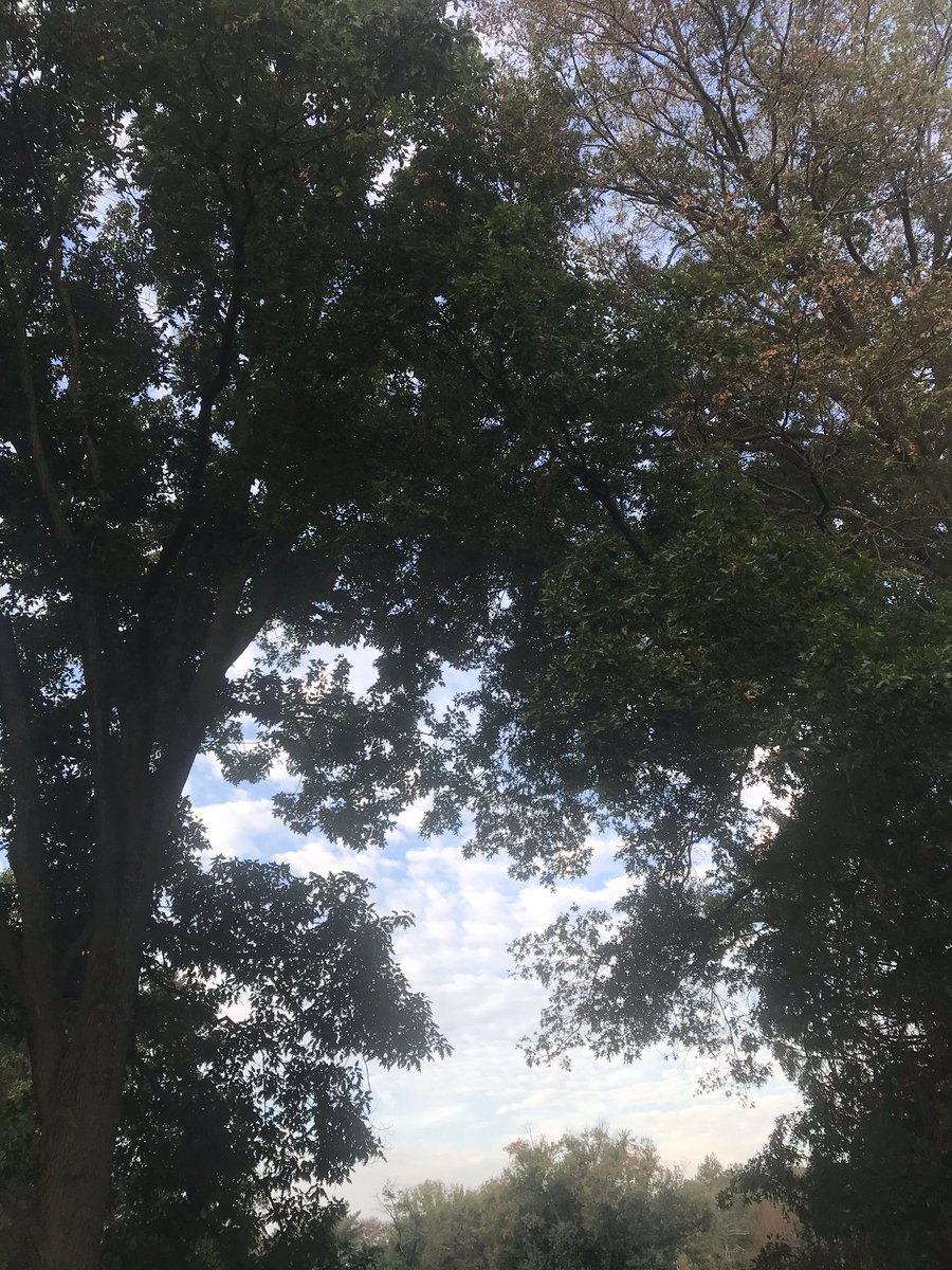 mdmooser's tweet photo. #CreativityEngine
Nominal
Clouds, birds, a place in nature, a creative positive day to all. https://t.co/YDFCUO4Amk