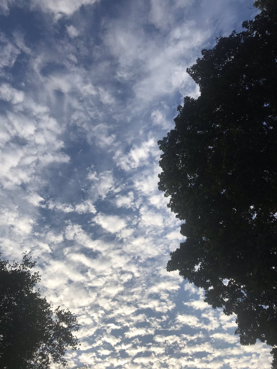 mdmooser's tweet photo. #CreativityEngine
Nominal
Clouds, birds, a place in nature, a creative positive day to all. https://t.co/YDFCUO4Amk