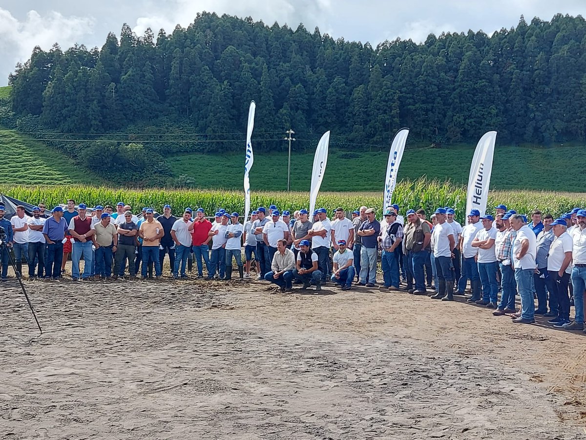 syngentaPT's tweet photo. Dia de campo milho 🌽 na Ilha de São Miguel, Açores, com o nosso distribuidor Agroutil.
🔝Excelentes resultados dos híbridos #SYBambus, #SYMaximaize e #SYHelium com o programa de herbicidas #Camix e #Lumax e o inseticida #Ampligo.
👉https://t.co/DCUF55l6PD https://t.co/1xRGxLXOx5