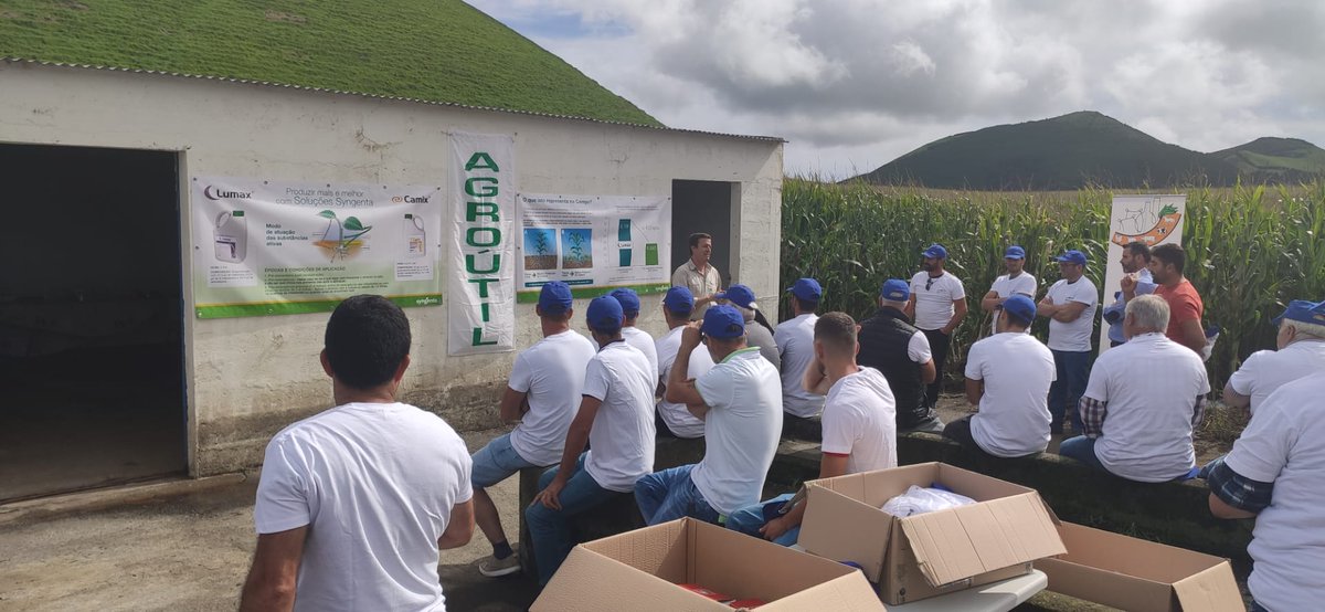 syngentaPT's tweet photo. Dia de campo milho 🌽 na Ilha de São Miguel, Açores, com o nosso distribuidor Agroutil.
🔝Excelentes resultados dos híbridos #SYBambus, #SYMaximaize e #SYHelium com o programa de herbicidas #Camix e #Lumax e o inseticida #Ampligo.
👉https://t.co/DCUF55l6PD https://t.co/1xRGxLXOx5
