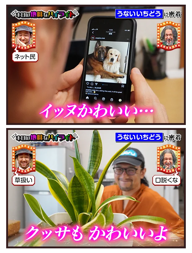 本日の地味なハイライト！イッヌもクッサもかわいいwww
