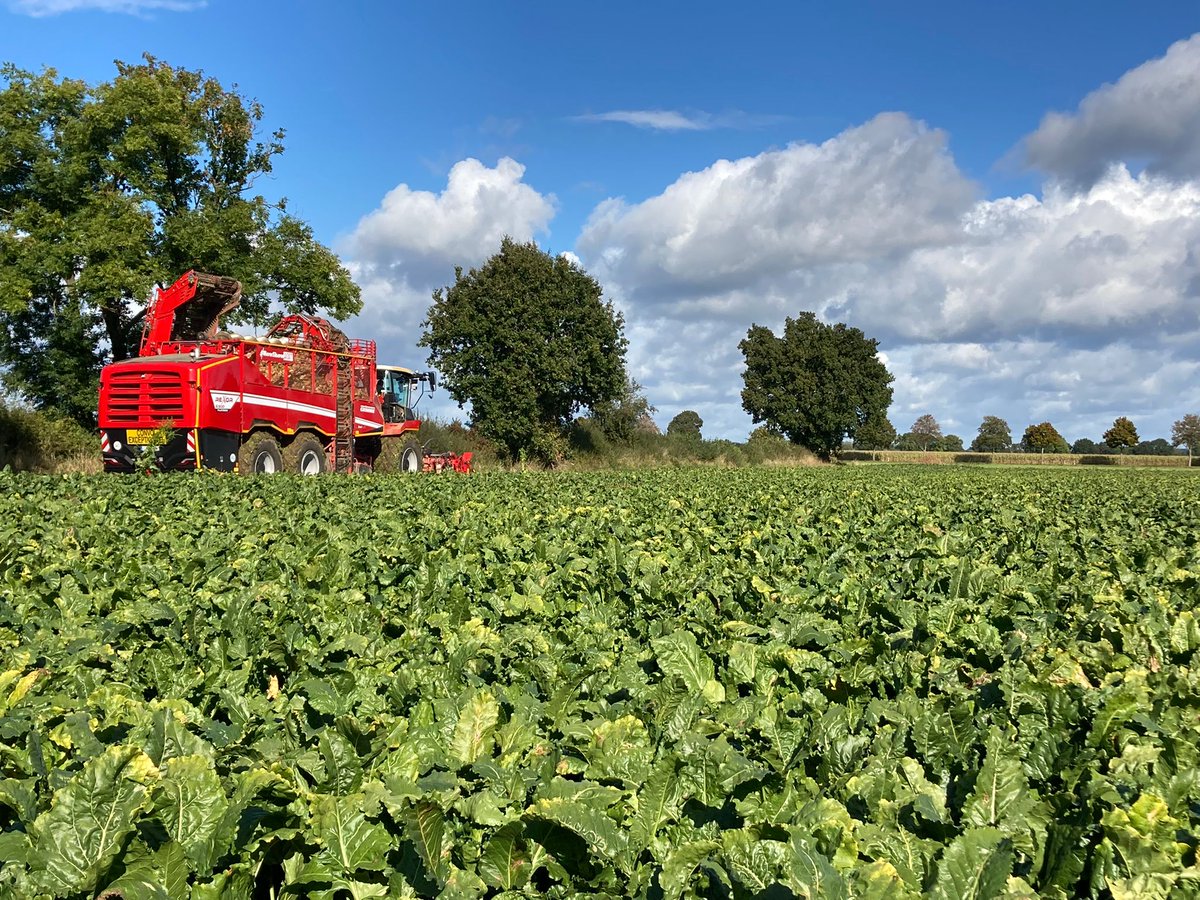 GRIMMEGroup's tweet photo. At the end of the week a few impressions from the #RowShow2021 πΈ
#GRIMME #REXOR #EVO https://t.co/oZCQG95WBF