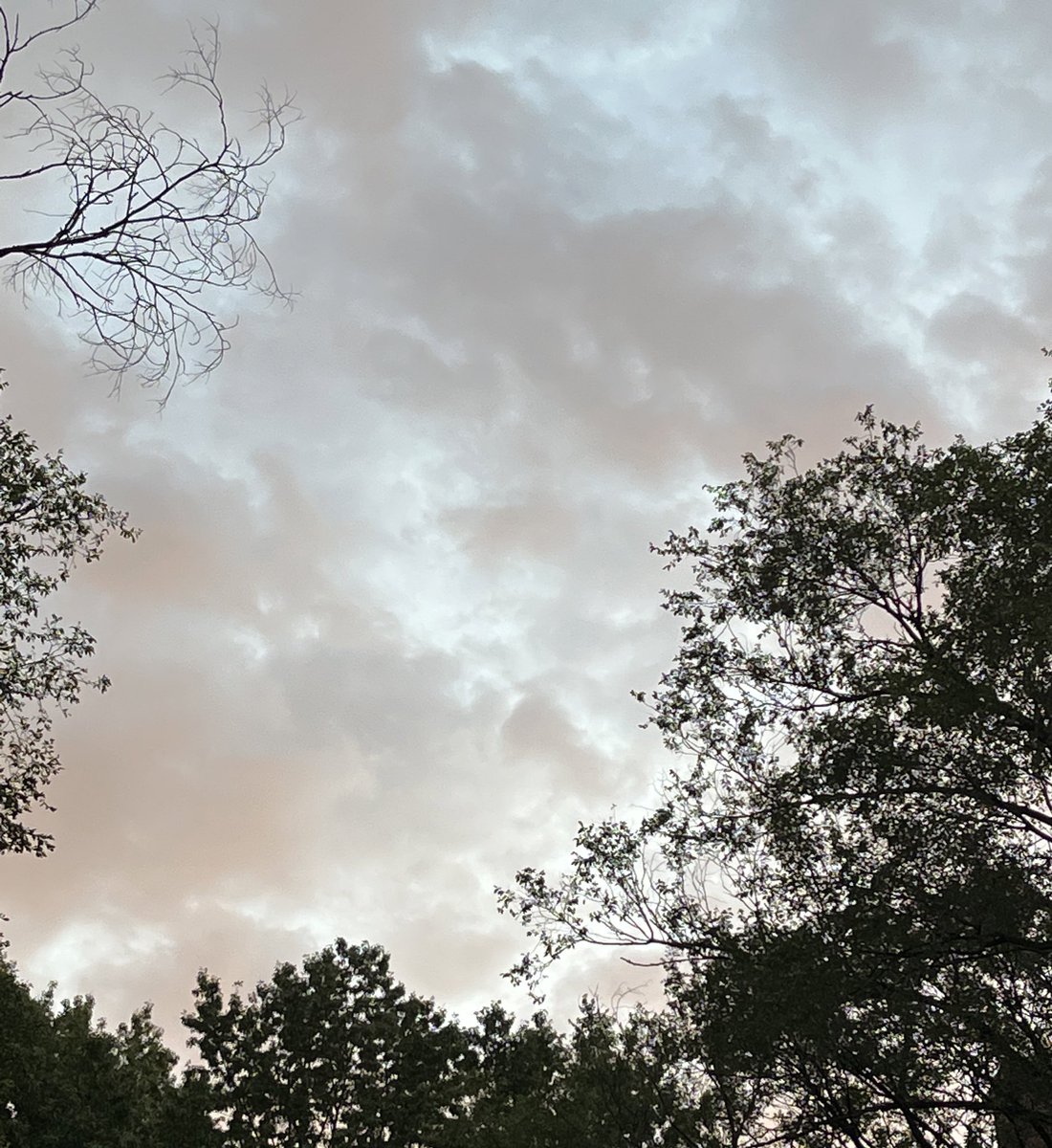 AccioRed's tweet image. Look at this picture I took of the sky ☺️