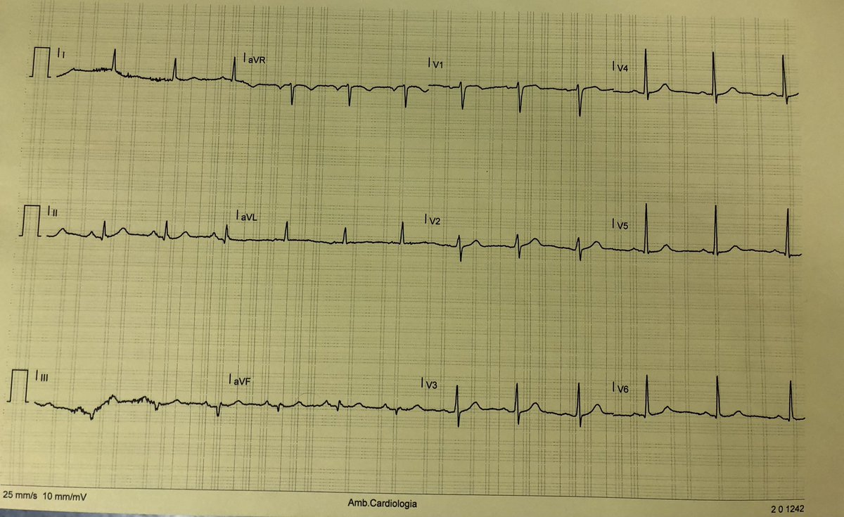 Maycol Franco tweet media
