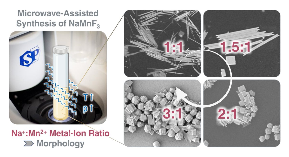 NanoLightLab's tweet photo. Very happy to see work by our students Nan (@NanLiu28103189) and Jessica (@Holmes8Jess)  and collaborator Nicolas Bordenave now published in ChemComm: Microwave-Assisted Synthesis of NaMnF3 Particles with Tuneable Morphologies -  https://t.co/CKZN0U7LNi https://t.co/W0hdfntJGk