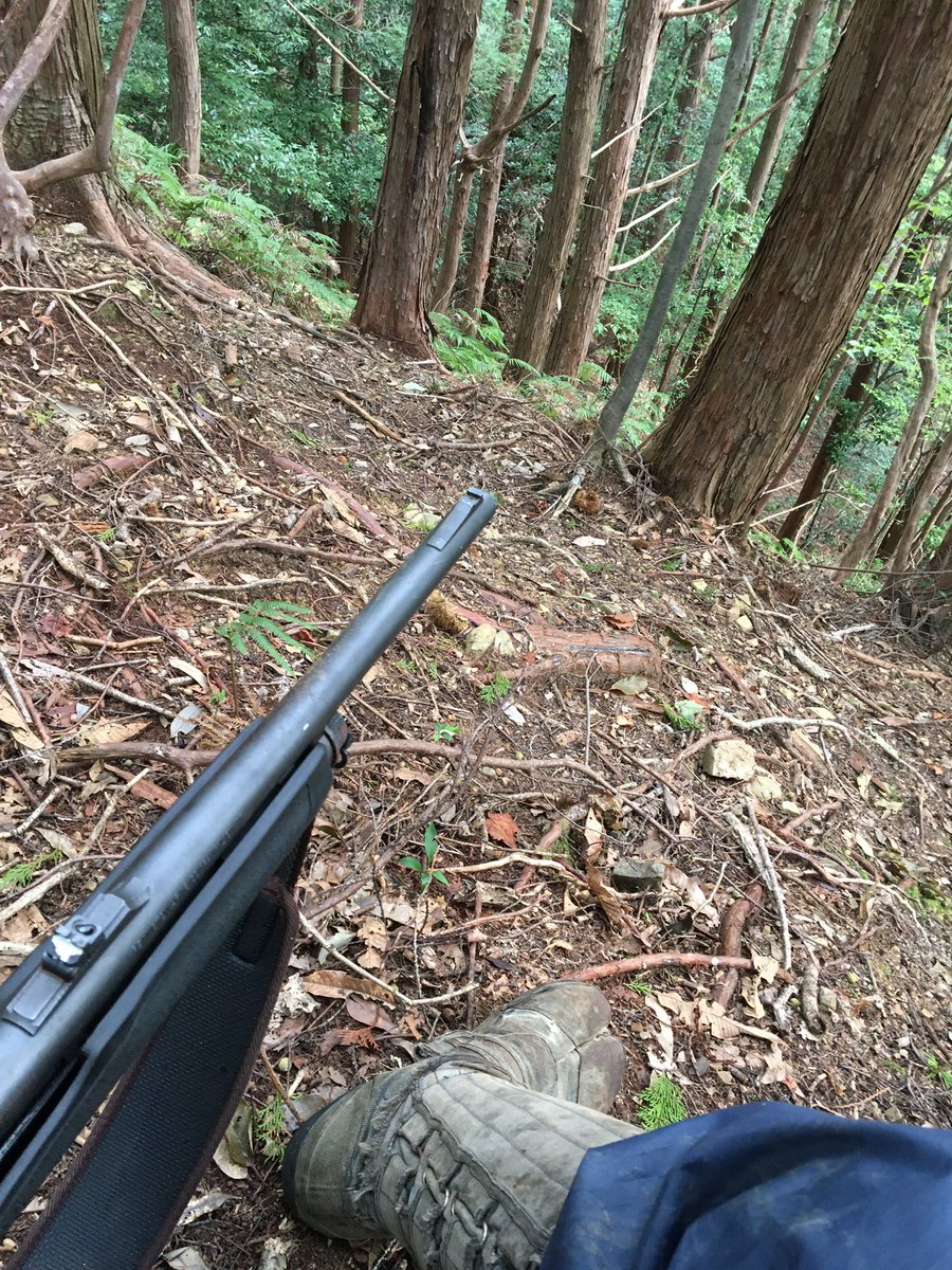 BunkaCyoBakkas's tweet photo. sneak hunting is called
" shinobi ryou " in Japanese.

shinobi is a ninja. https://t.co/YdQH3rvzSw