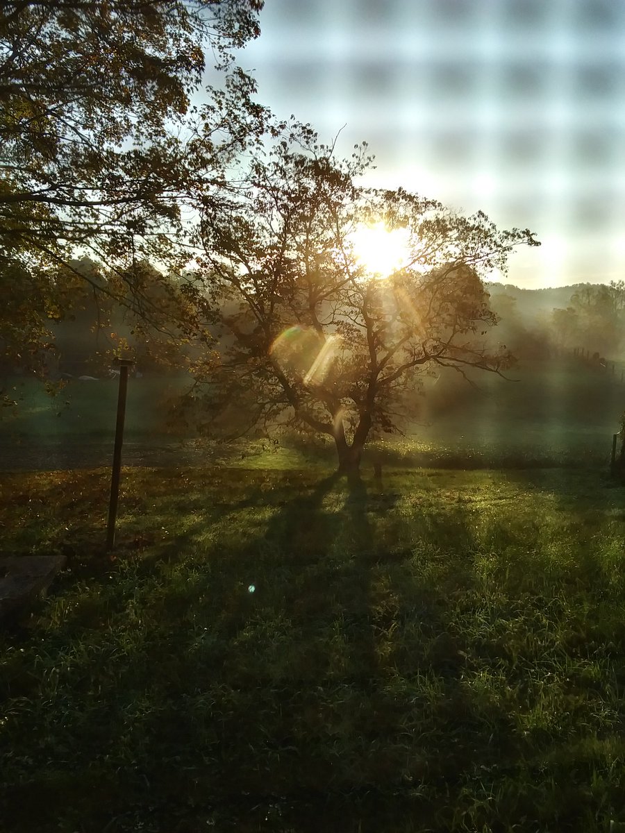 hahabirdpumpkin's tweet photo. Good Friday morning!! Sunny day today... Supposed to get 84. #WestVirginia #fall #falltober2021 #fridaymorning https://t.co/naOACo7HCJ