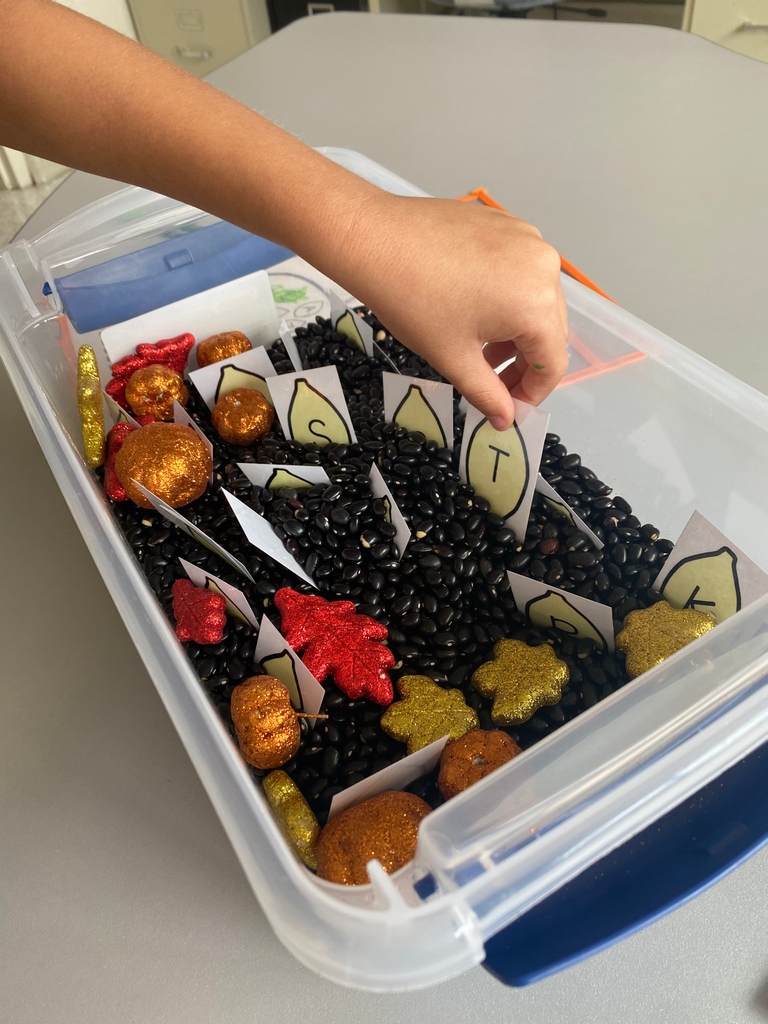 SidekickTherapy's tweet photo. Need a fall OT activity? 🎃 Try using pumpkin seeds to practice writing capital letters!  
#sidekicktherapypartners #occupationaltherapy #physicaltherapy #speechtherapy https://t.co/YiyhUA6yoE