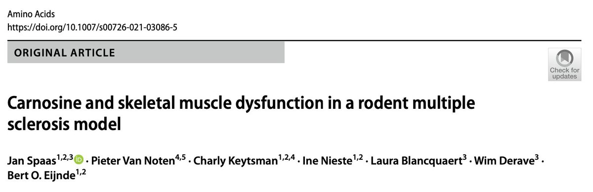 TeamDerave's tweet photo. First paper resulting from a collaboration between @BIOMED_UHasselt and @BSW_UGent. Here we report significant carnosine loading following oral carnosine supplementation, but no effect on muscle dysfunction in a rodent MS model: https://t.co/9ysa2pz2Ap @janspaas @bertopteijnde https://t.co/7Ei5rTQrYL