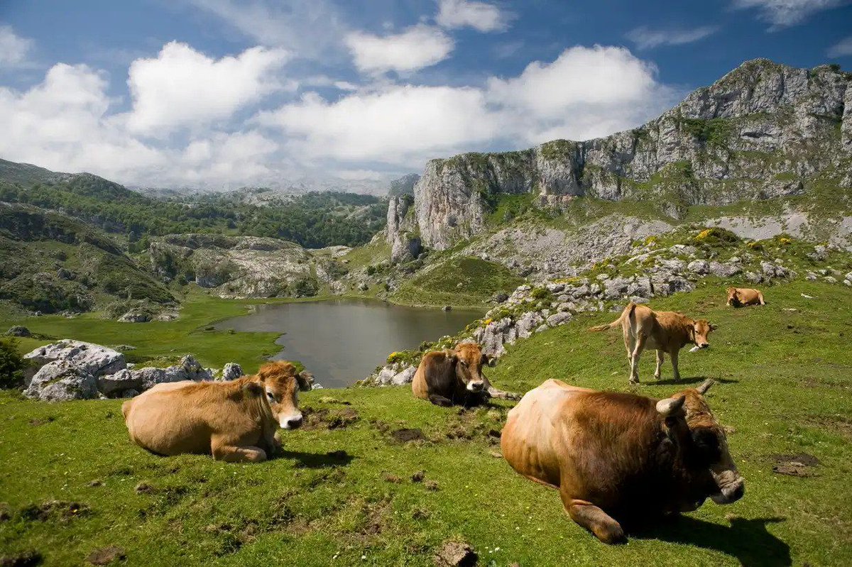 RT <a href="/H2BCN/">Rob Dobson</a>: #Spain's unique regional foods - bit.ly/30koc94 via <a href="/olivemagazine/">olive magazine</a>