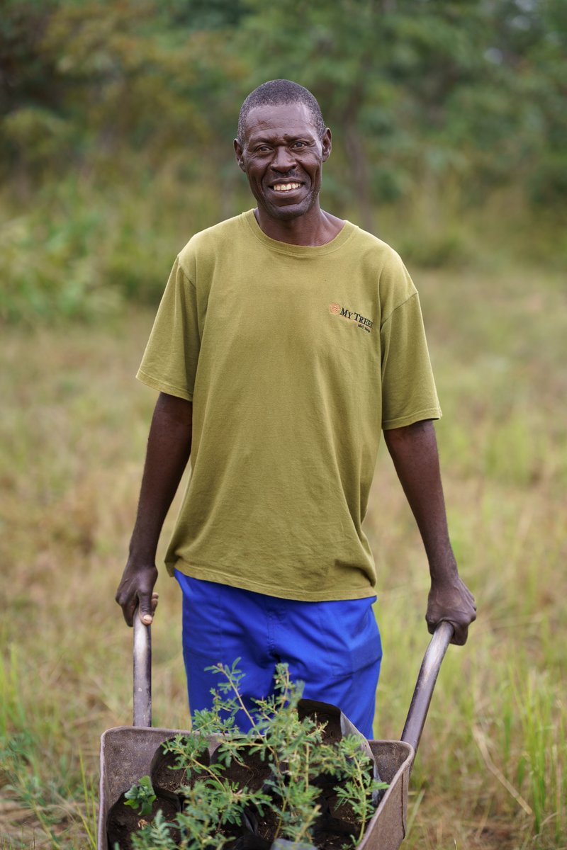 @Coldplay's contribution will be deployed across our conservation and tree planting portfolios - creating quality jobs for rural Zimbabweans, protecting habitat and re-opening vital wildlife corridors