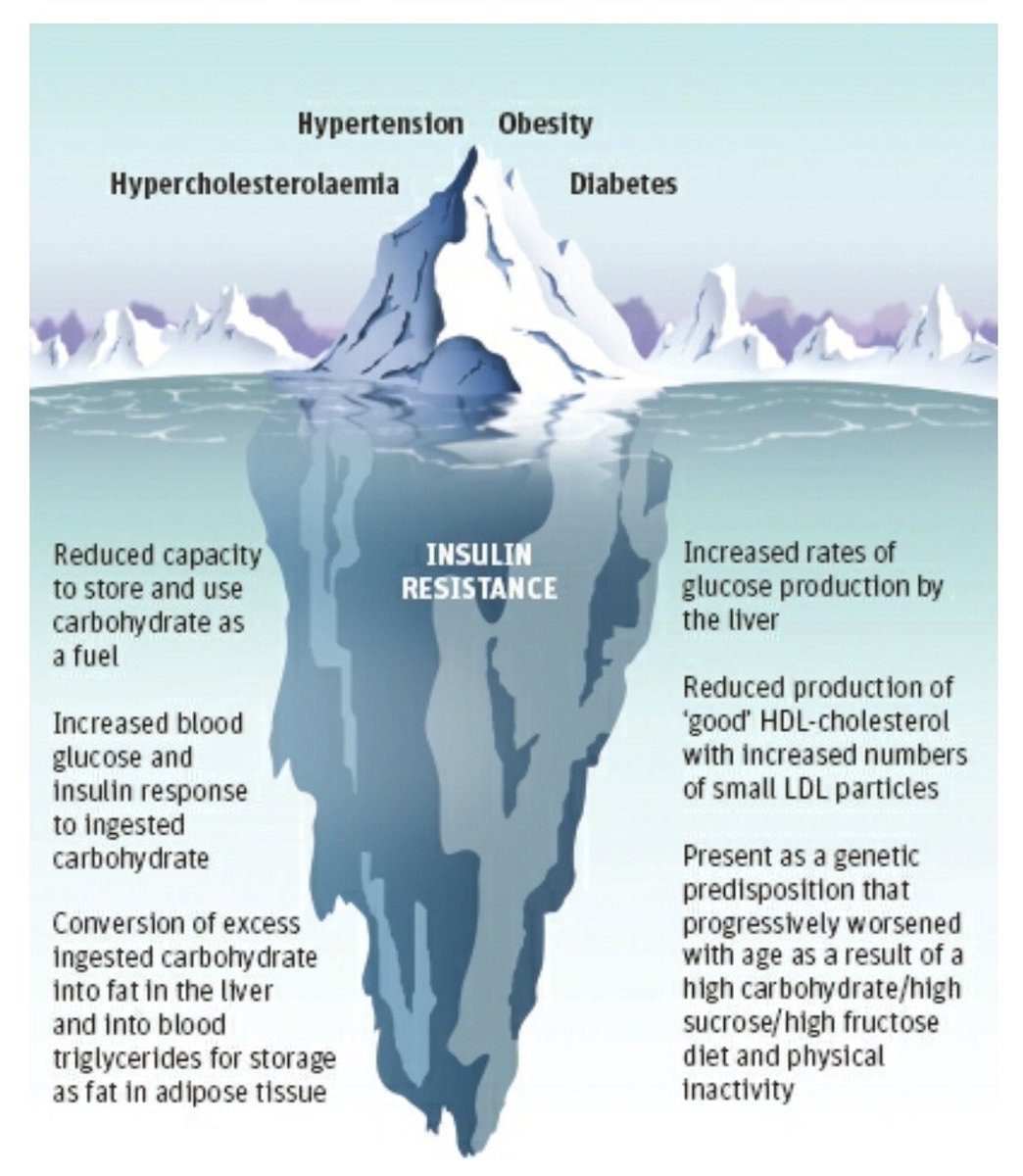 @_HealthResults @CampbellMurdoch @jen_unwin @patrickholford @paleowithmrsp @tom_watson @FatEmperor @idlake @lowcarbGP @malcolmken @BenBikmanPhD looking good, IR can take many shapes and forms, this one via @ProfTimNoakes