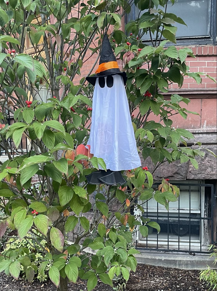 MegoWee's tweet photo. Diggingβ these little additions my neighbor put out in his tree. Nice. #halloween #scarynotscary https://t.co/0TUoc5DjSA