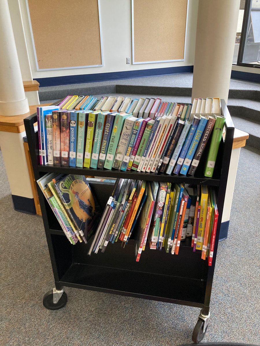 knugent5's tweet photo. Reynolds finally got their book order! We can’t wait to share with students! ❤️ @ReynoldsBville @BCSDBEES https://t.co/RH0so3aQvU