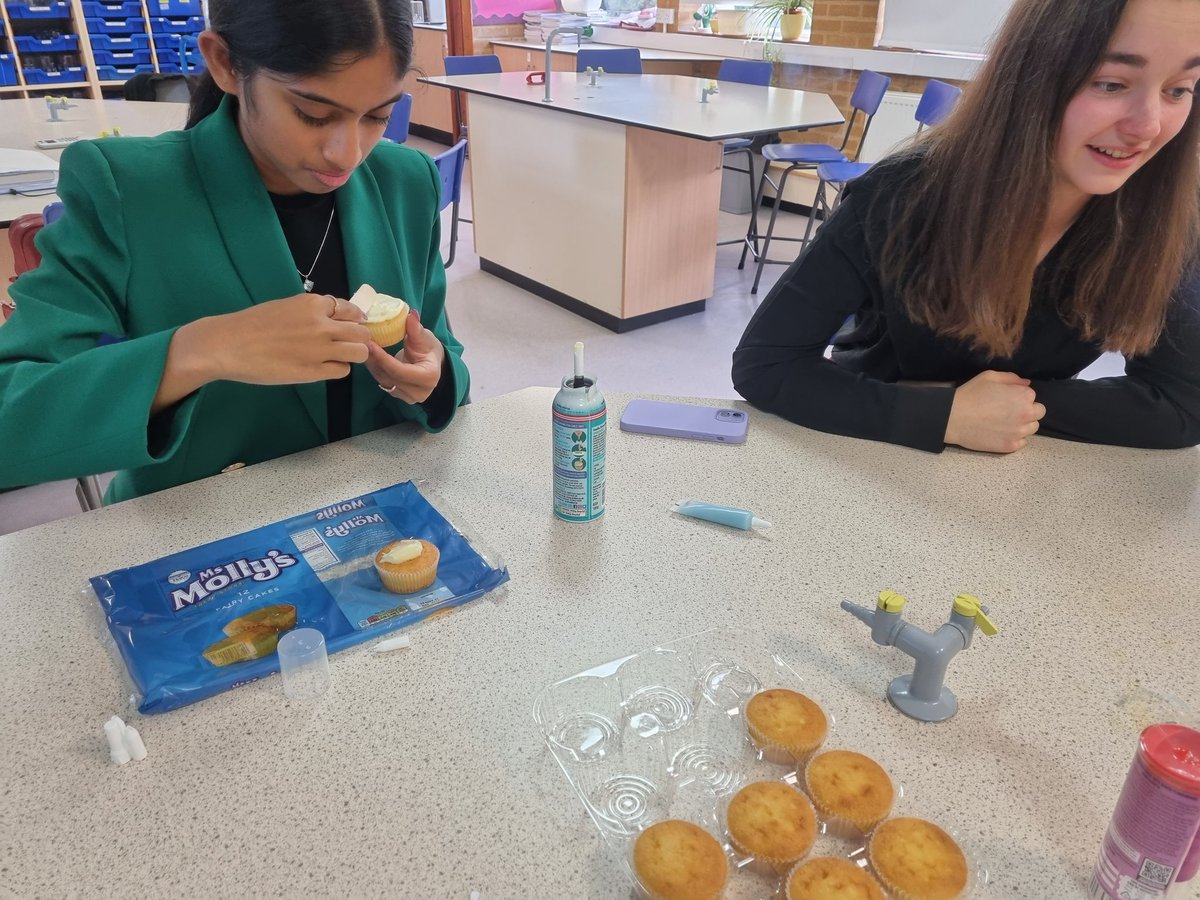 QueenswoodSTEM's tweet photo. Mitosis cupcakes end of half term treats #alevelbiology #bestsubject #cakedecorating #celldivision https://t.co/yxJ0KbXRBd