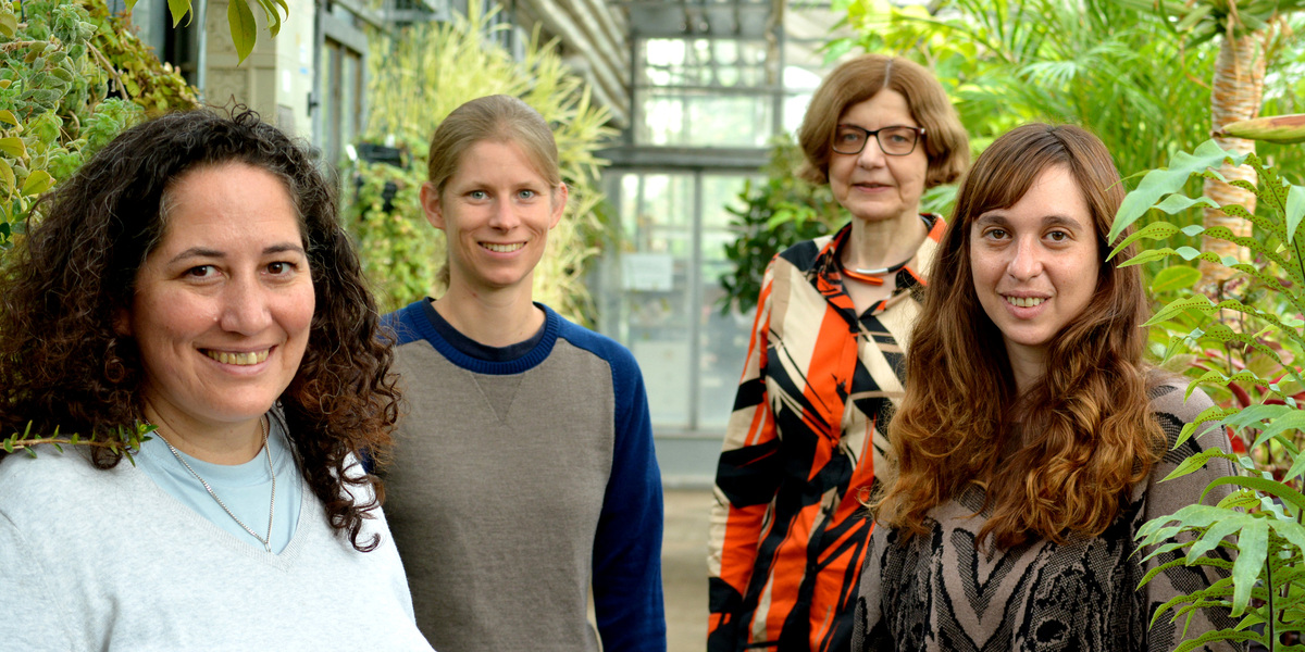 Bielefeld University (@unibielefeld) on Twitter photo Drei Wissenschaftlerinnen mit Know-how zum Innenleben der Pflanzen: Dr. Julieta Mateos, Dr. Yamila Agrofoglio und Dr. Marlene Reichel forschen als Stipendiatinnen der <a href="/AvHStiftung/">Humboldt-Stiftung</a> an der <a href="/unibielefeld/">Bielefeld University</a> in der Arbeitsgruppe von Prof'in Dr. Dorothee Staiger: bit.ly/3mZErQA Drei Wissenschaftlerinnen mit Know-how zum Innenleben der Pflanzen: Dr. Julieta Mateos, Dr. Yamila Agrofoglio und Dr. Marlene Reichel forschen als Stipendiatinnen der <a href="/AvHStiftung/">Humboldt-Stiftung</a> an der <a href="/unibielefeld/">Bielefeld University</a> in der Arbeitsgruppe von Prof'in Dr. Dorothee Staiger: bit.ly/3mZErQA