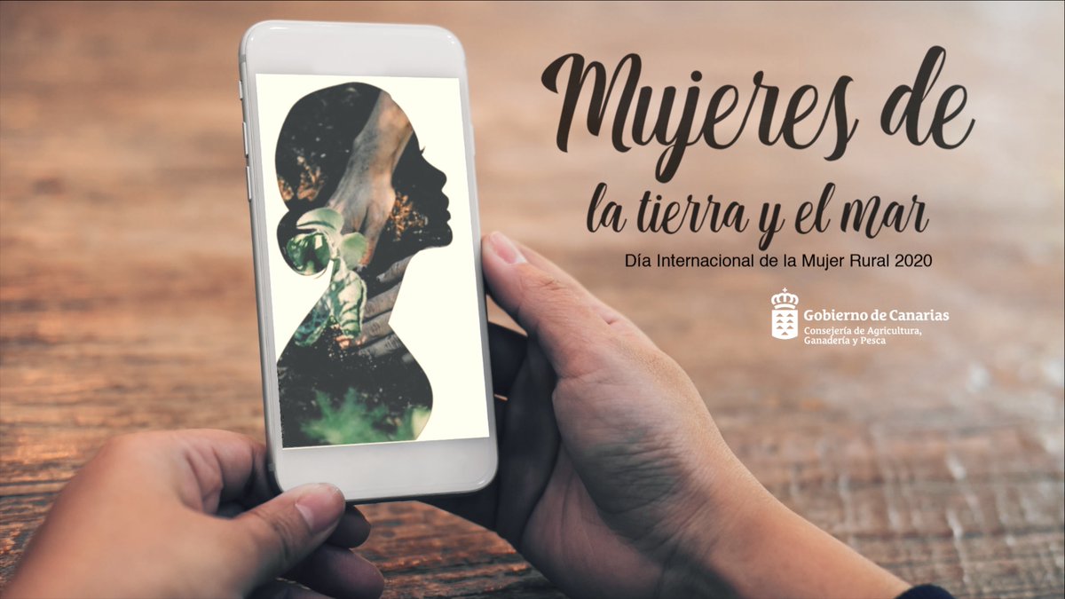 La Casa de Los Balcones tweet media