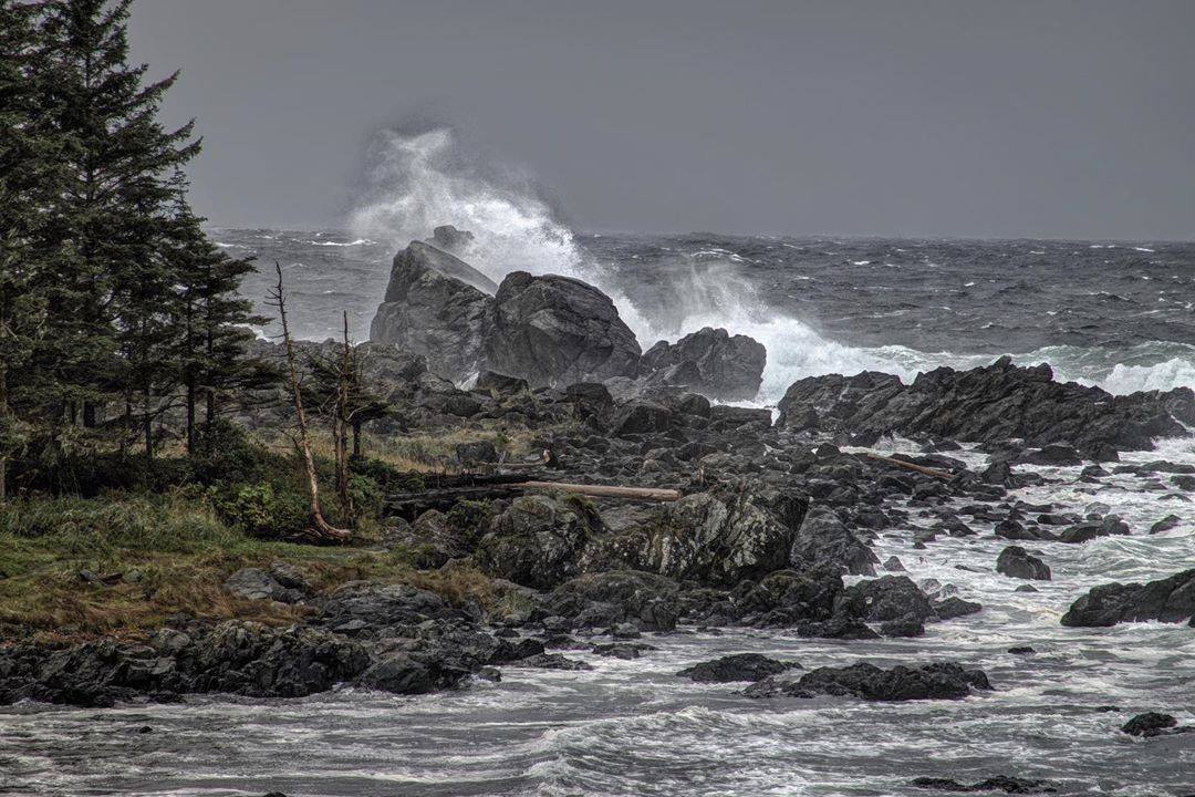 GoWatersEdge's tweet photo. Rain or shine. Calm or stormy. The ocean always humbles us.
📷 by @simonclivehughes
#photography #ocean #stormwatching #westcoast #leavenotrace #Ucluelet #CoastSmart https://t.co/iGn5jAPVqA