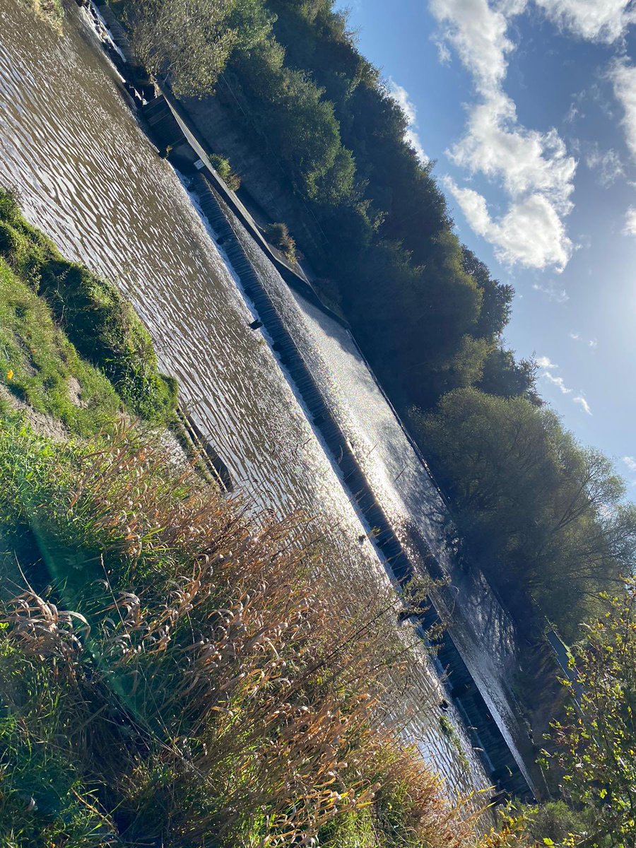 emm4hall's tweet photo. Fab pics coming in for @PharmacyQeh Health &amp; Well-Being step challenge #OctoberStepChallenge 🌿🍁🍃🍂
Keep them coming!! These are from our ‘Am-Plod-ipine Group!! @HWBGateshead @claireyrivs @CranmerPolly @Neil_Gammack 🚶🏽🚶🏻‍♀️👣 https://t.co/s5iA1RfwYU