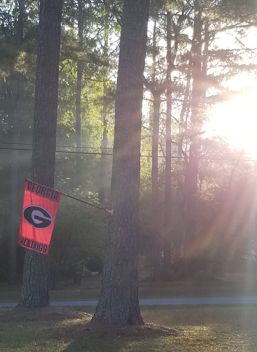 rugbyturtle's tweet photo. It's a beautiful day to be a #Bulldawg!!! #GAbound #athens #roaddawg #ATD #UGA P.S. #GoBraves https://t.co/K7VuhqaIba