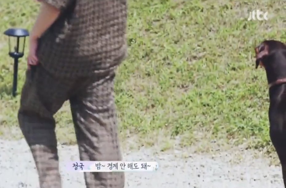 emesspace's tweet photo. ฮือออน่ารักมากก จองกุกออกไปเดินเล่นกับจอนพัม ล๊ะพัมเหมือนจะเฝ้าระวังตลอด ประมาณว่าคอยดู คอยปกป้องจองกุก จองกุกเลยแบบ “ไม่ต้องเฝ้าระวังก็ได้นะพัม~ ฉันปกป้องร่างกายของตัวเองได้~” น่ารักไปหมดเลยอ่ะ 

eng: btsinthemoment https://t.co/7zFmhbBLJv