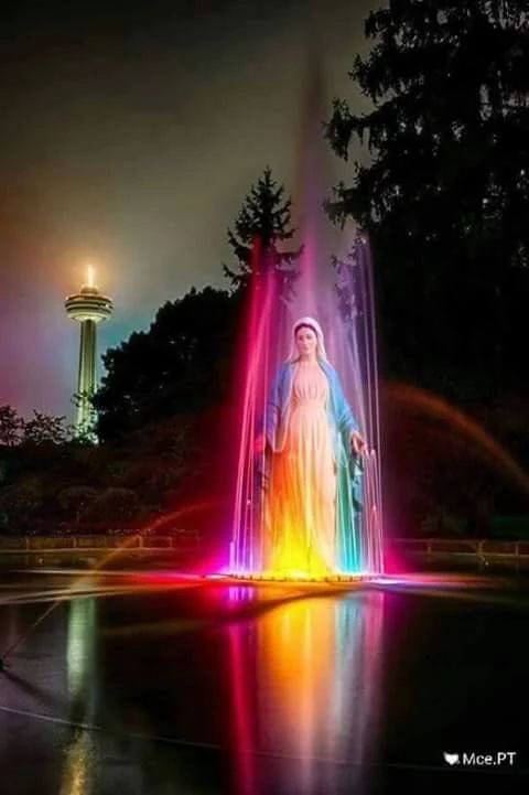 soadring tweet media