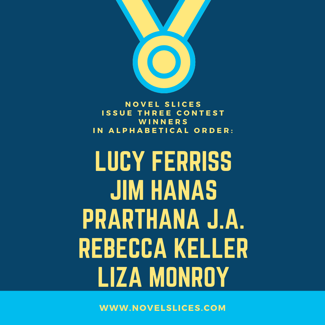 Novel Slices tweet media