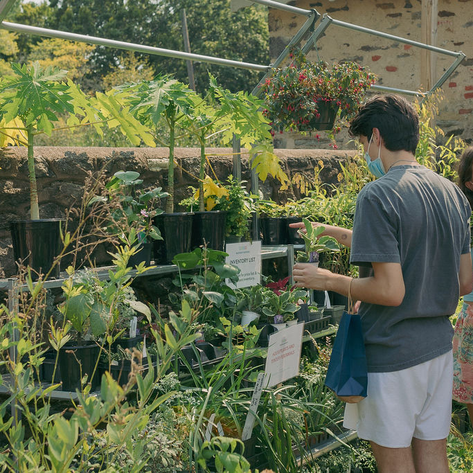 Fall plant sale! 🍁 All plants are 20% off through 11/6. With cooler temperatures and fewer insect pressures, fall is a great time to plant! 

Shop at the Welcome Center, open 9AM-4PM daily, or order online for pick-up at Bartram's Garden. bartramsgarden.org/shop