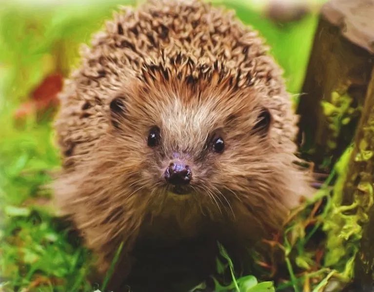 Kijk ook op onze website: lokaalbelangzevenaar.nl of onze andere socialmedia kanalen Twitter, Facebook en Instagram.