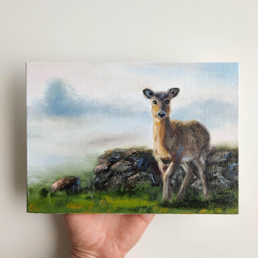hi there! I painted it in August for my client. It was a special gift. And I really enjoyed painting it. Just decided to share with you. Happy Friday, my friends!⁠
⁠
#roedeer #roedeerpainting #roedeerart #animalworld  #femaleroedeer #deerart #deerpainting #femaledeer