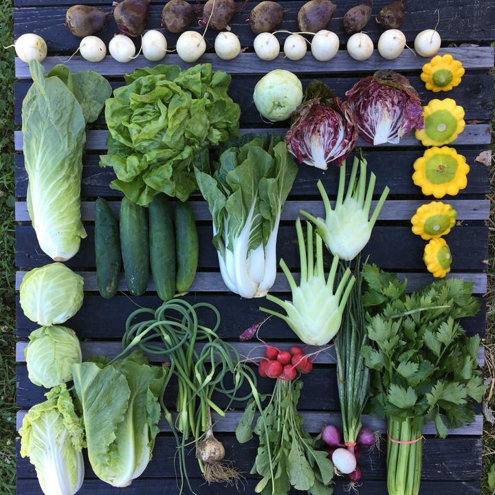 Poughkeepsie Farm Project tweet media