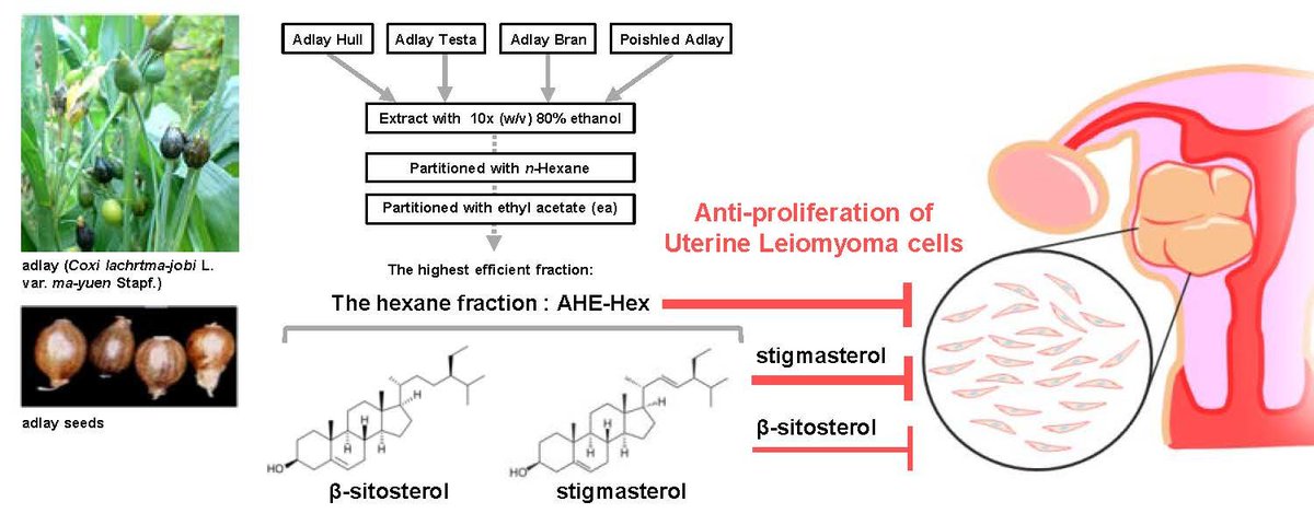 Molecules_MDPI's tweet photo. Adlay (Coix lachryma-jobi L. var. ma-yuen Stapf.) Hull Extract and Active Compounds #Inhibit #Proliferation of Primary Human #Leiomyoma Cells and Protect against Sexual #Hormone-Induced Mice Smooth Muscle #Hyperproliferation
By: Shih-Min Hsia, et al.
👉https://t.co/aawdvv5C4B https://t.co/nFBFpCPzFN