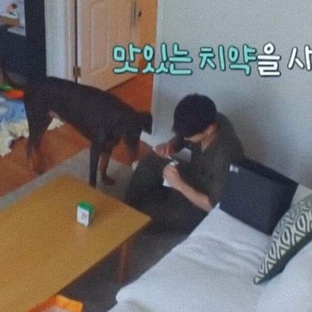 Noonajin2's tweet photo. Jk brush his dog teeth is so cute 🥺🤧💜 

@BTS_twt  #BTSJUNGKOOK  #JK  #JUNGKOOK #btsinthesoops2 https://t.co/nkeqgH2xmY