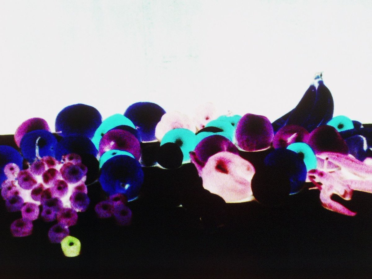 Exposing the material of film in sculpture 🎞️

<a href="/mao_gallery/">Modern Art Oxford</a> are screening work by British experimental female filmmakers 📷
Move between the abstract &amp; pictorial in a sensory experience 👁️

🗓️ 17 Oct, 3 - 4:30pm

Details 👉 bit.ly/3v9PpH7 | #HereForCulture