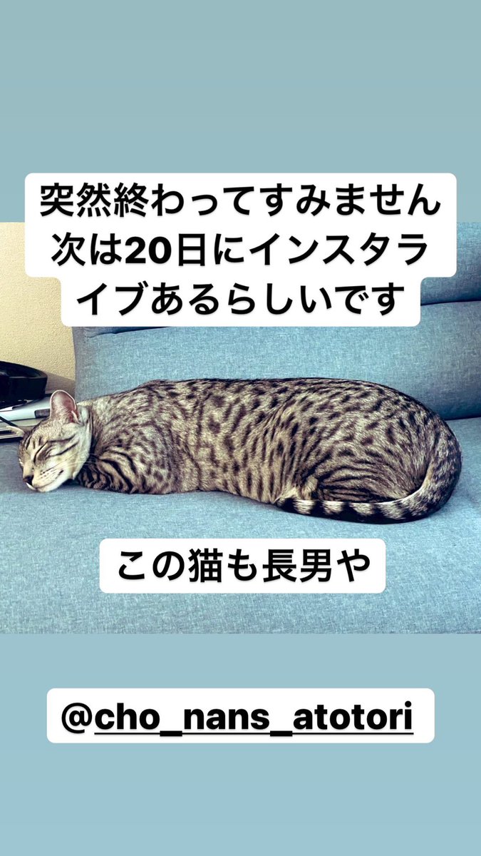 tanakawakame's tweet photo. インスタライブ時間切れで強制終了で失礼しました。
でも楽しかったです。
次は20日に！
@cho_nans_ https://t.co/YGjqSNg3HJ