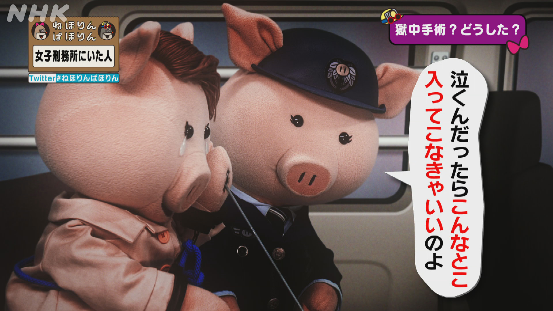 Nhk ねほりんぱほりん 女子刑務所にいた人 後編 子宮の全摘と言われ レイコさん 帰りの護送車の中でわんわん泣いたんですけど 先生が 泣くんだったらこんなとこ入ってこなきゃいいのよ って それはごもっともですけど今言わなくてもいいじゃない
