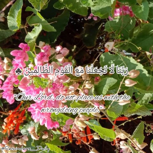 _RemindersDaily's tweet photo. رَبَّنَا لَا تَجْعَلْنَا مَعَ الْقَوْمِ الظَّالِمِينَ ♣
"Our Lord, do not place us with the wrongdoing people."
#_RemindersDaily ♥ https://t.co/PkhQPgO0dD
