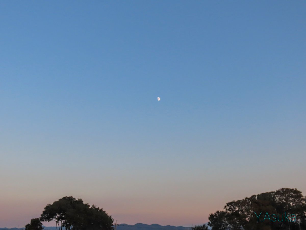 yumeasutw's tweet photo. 真ん丸夕陽🌇とお月様🌔
お疲れ様です🏁
穏やかな #夕空 をオレンジ色に染め上げ沈み行く #夕陽 💛
南東の #青空 には、オレンジに染まる #十日月 (月齢8.9)
地平線は桃色の #ビーナスベルト 💗
#夕焼け #鉄塔 #電柱 #電線
#空の名前
#天気の図鑑
#レイリー散乱
#月 #moon
#a2021 #a1015 #a202110 https://t.co/88bZaRgdHz