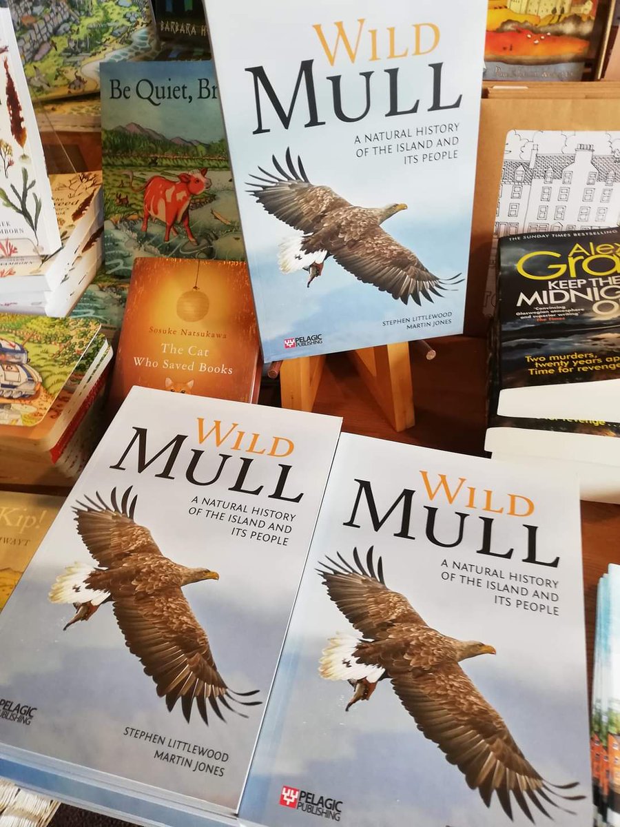 In #TackleandBooks, #Tobermory high street! @BBCSpringwatch @nature_scot @Argyll_IslesApp @wildaboutargyll #ChrisPackham #IoloWilliams #Mull #NaturePhotography #rewilding